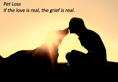 Pet Loss Pet Loss